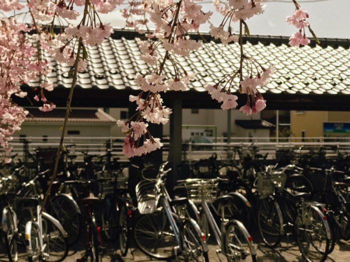 岩村田駅のさくら